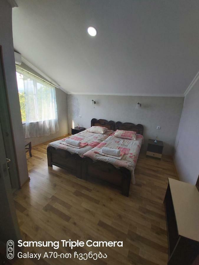 Martvili Newhotel المظهر الخارجي الصورة