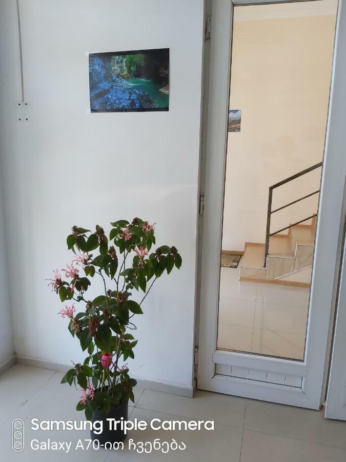 Martvili Newhotel المظهر الخارجي الصورة